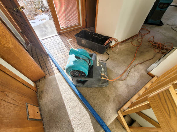 Professional Water damage restoration in Sandy Hook, CT
