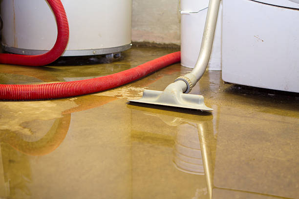 Best Water damage restoration company  in Sandy Hook, CT