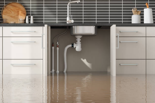 Best Water damage contractors near me  in Sandy Hook, CT